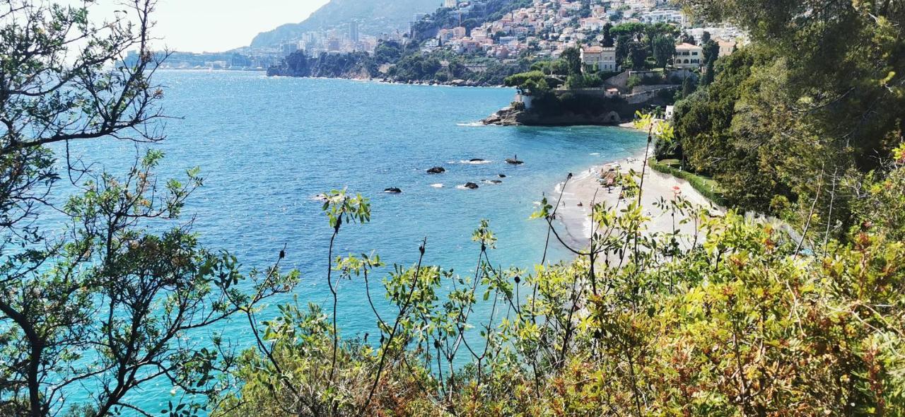 Vue Magnifique, Piscine Privee Chauffee Et Sauna A 10Min De Monaco Roquebrune-Cap-Martin Εξωτερικό φωτογραφία